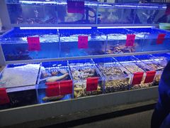 -金海湾海鲜排档(朱家尖店)