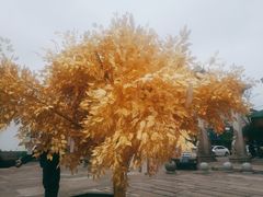 -溪口-滕头旅游景区