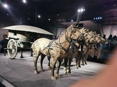 -秦始皇帝陵博物院-丽山园