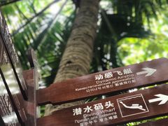 -海南分界洲岛旅游区