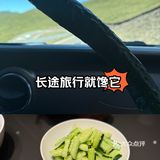 最佳旅行食品