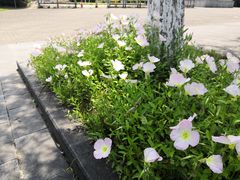 -白塘生态植物园