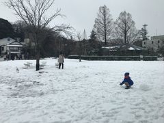 -金泽21世纪美术馆