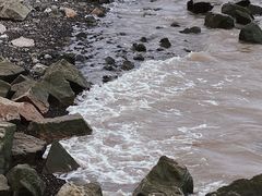 -上海滨江森林公园