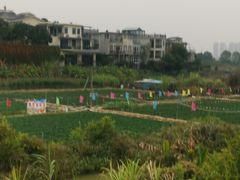 -南国桃园旅游度假区