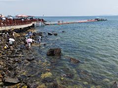 -养马岛旅游度假区