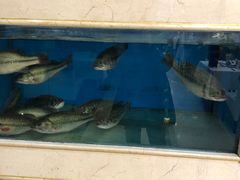 -红菜坊·烤鸭·川鲁宴(石园店)
