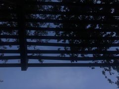 -三林塘老街