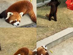 -水上乐园·欢乐世界