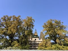 -北京石刻艺术博物馆(五塔寺)