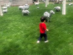 -九十九顶毡房(阜石路店)