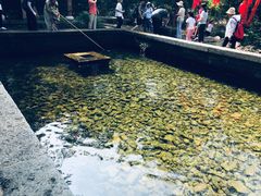 -竹泉村旅游度假区
