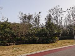 -桃花岭景区
