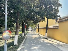-太子山公园(园东路)