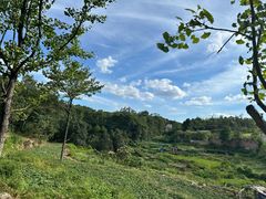 -铁山坪森林公园