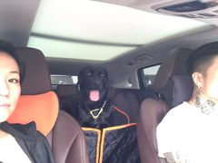 -汪说喵讲宠物乐园宠物酒店(红星美凯龙店)