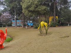 -铁山坪森林公园