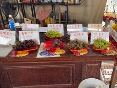 -马陆小张葡萄园农家乐