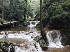 -牛背梁国家森林公园