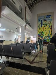 -上海交通大学医学院附属上海儿童医学中心(陆家嘴总院区)