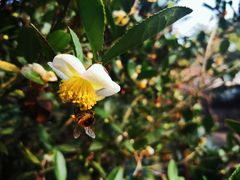 -自在弥林花园餐厅(云栖店)