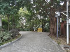-顺峰山公园