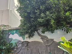 -品德宏·孔雀宴的发源地(金塔园店)