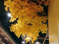 -黄泥岗·黄陂农家菜(百步亭店)