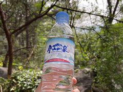 -鲁山国家森林公园