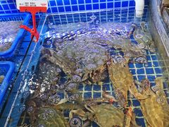 -必点海鲜·鲅鱼水饺(鞍山西道店)