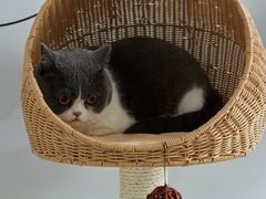 -峰光无限装饰(西安总店)
