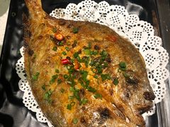 -九府羊·鲜羊火锅·烤串(新华路店)