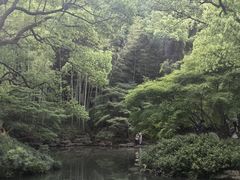 -杭州植物园