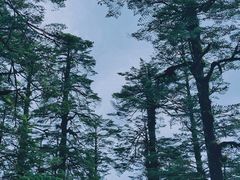 -瓦屋山景区
