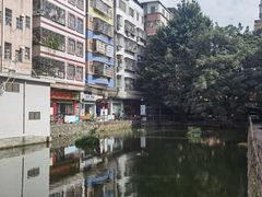 -肥燕越南卷粉(车陂西华花园店)