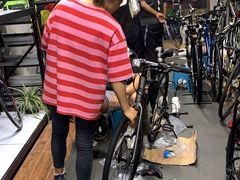 -道路口单车爱瓦士dahon大行