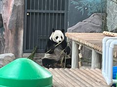 -苏州太湖国家湿地公园