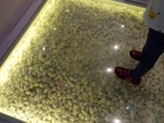 -狐狸和向日葵(北京路店)