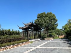 -帐篷客·溪龙茶谷度假酒店