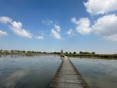 -盐城丹顶鹤湿地生态旅游区