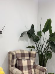-上海首尔丽格医疗美容医院