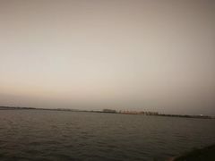 -漕湖湿地公园