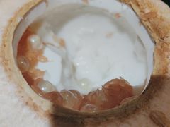 -喃喃椰·糟粕醋·椰子鸡火锅(七堡花园店)