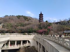 -牛首山文化旅游区