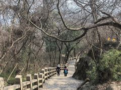 -灵岩山风景区