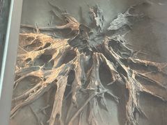 -金沙遗址博物馆