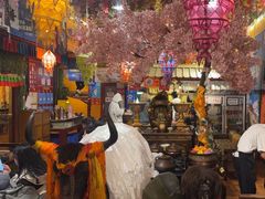 -吉祥圣雪藏餐