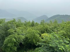 -莫干山风景区