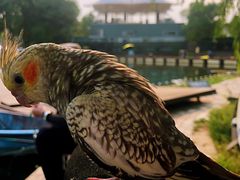 -酷鱼垂钓CLUB(朝阳区博大路店 )