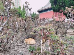 -大钟寺古钟博物馆